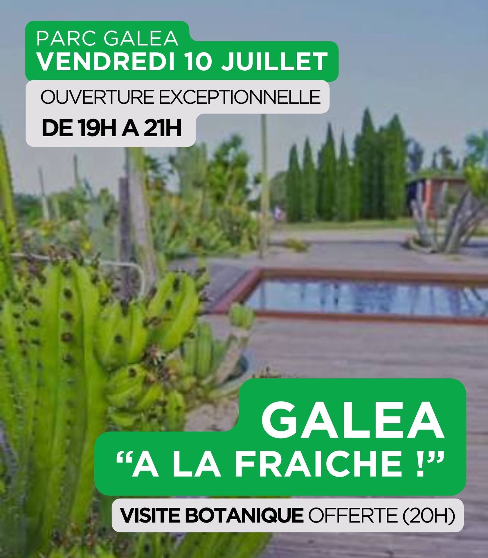 GALEA 