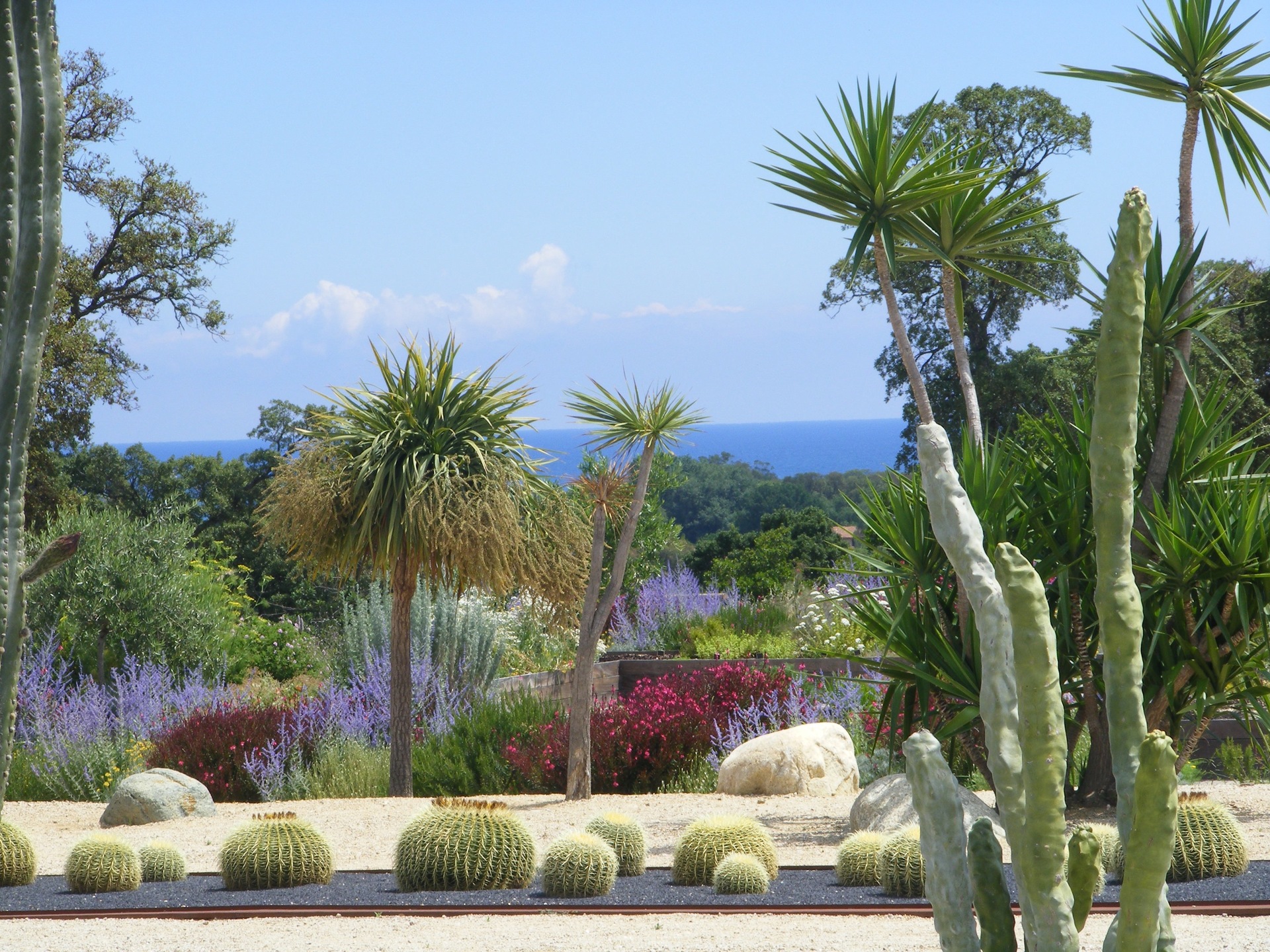 cactus-aromatiques-mer-galea