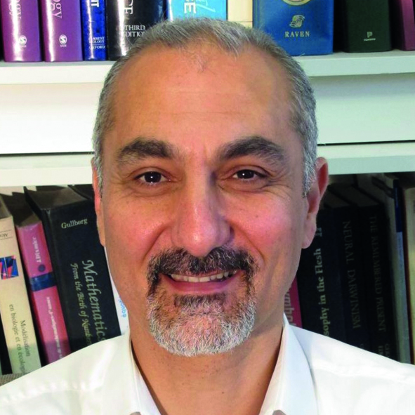 Serge Ahmed